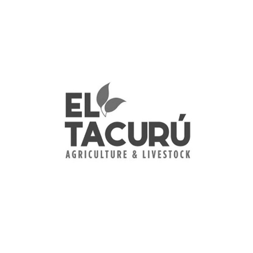 El-Tacurú